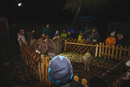 Božiček in žive jaslice (63)
